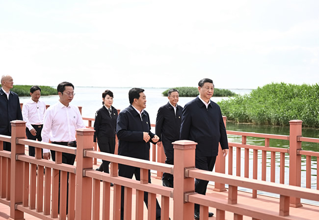 091254-481525.jpg 3.jpg