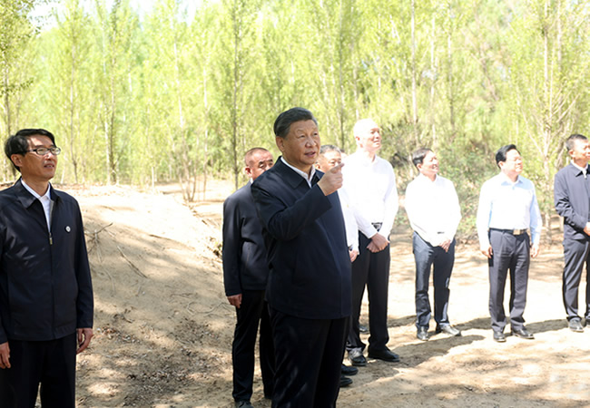 091332-544050.jpg 7.jpg