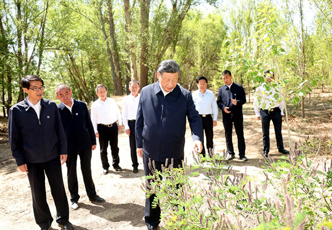 091414-125949.jpg 8.jpg